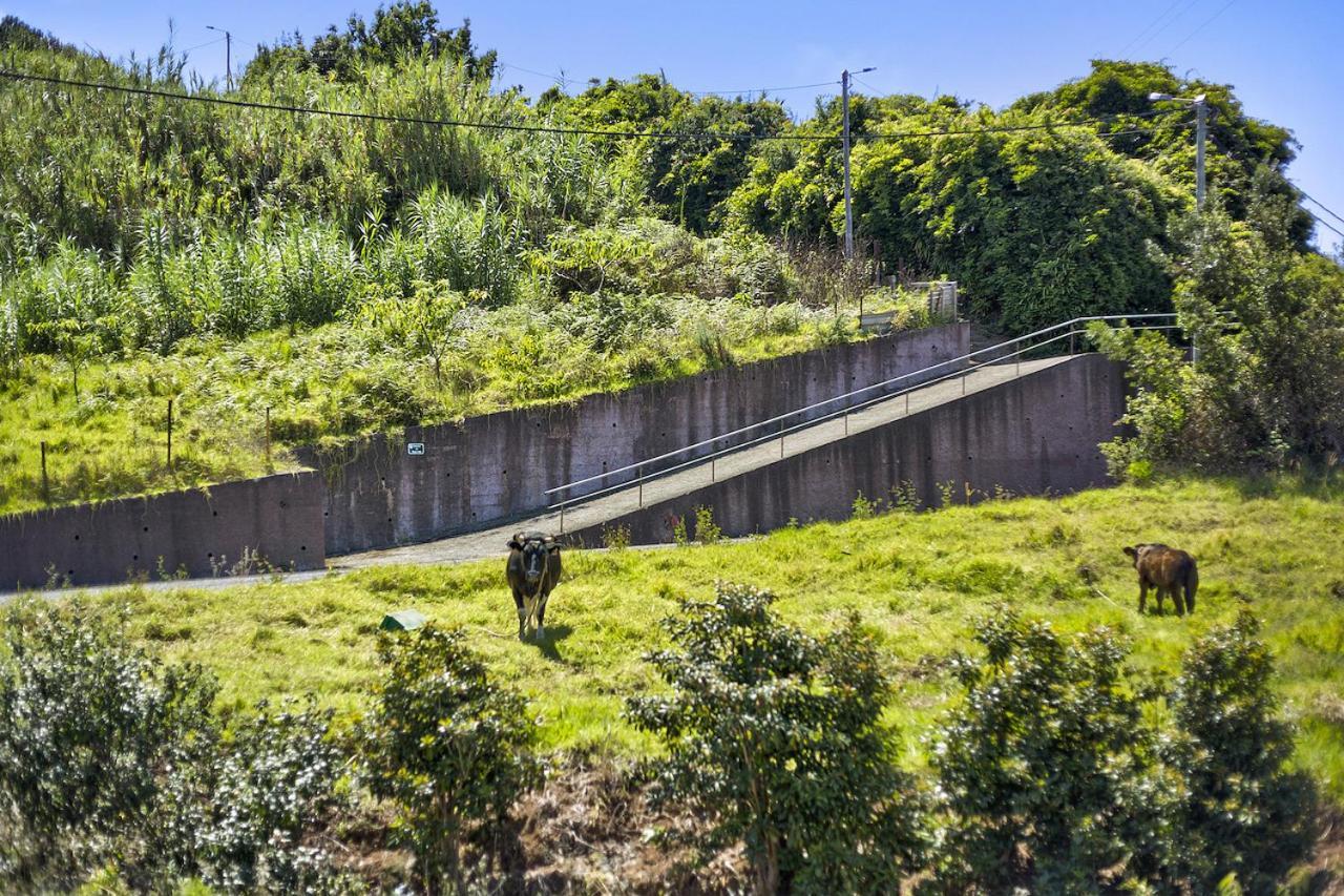 Casa Afonso Na Madeira Villa Sao Jorge  Luaran gambar